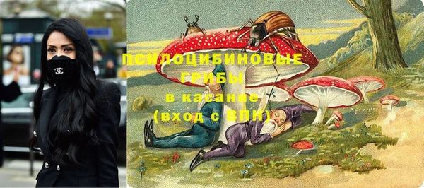 прущий лед Заполярный