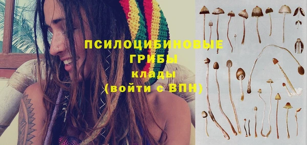 мдпв Богородицк