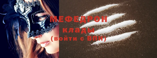 мдпв Богородицк