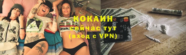 PSILOCYBIN Богданович